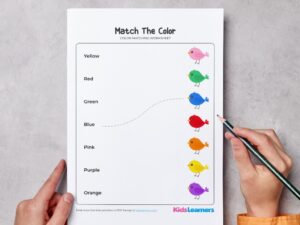 Match The Color Kindergarten Worksheet
