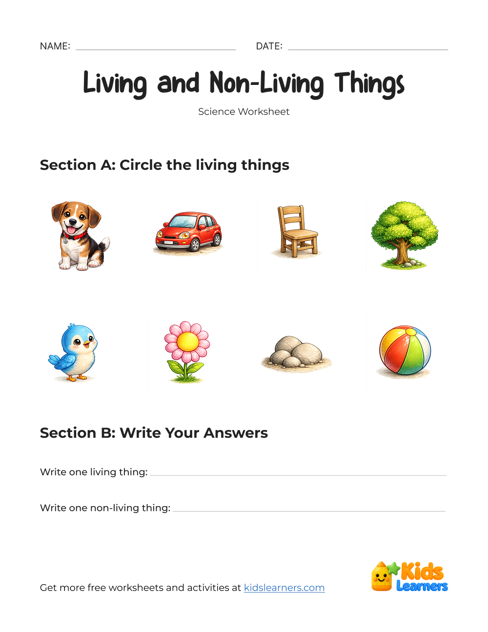 Living and Non Living Things Worksheet